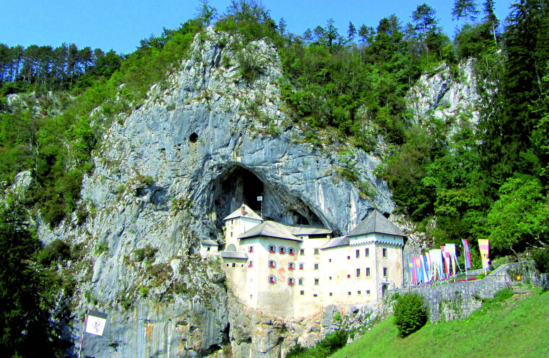 Image 4